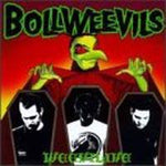The Bollweevils Weevilive Music