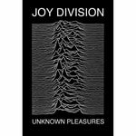 Joy Division - Unknown Pleasure Poster